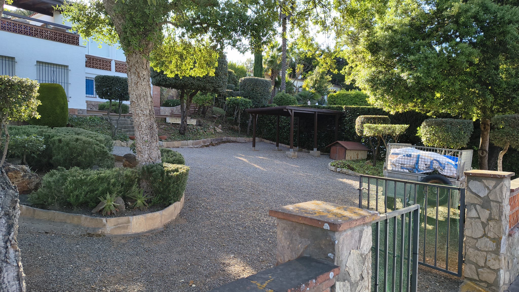 Decoración exterior y plantas