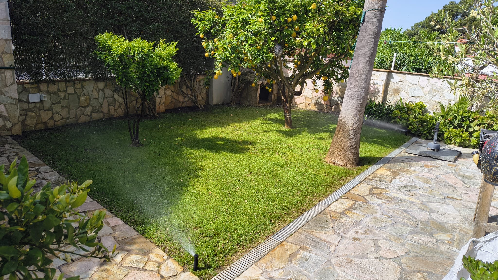 Decoración exterior y plantas