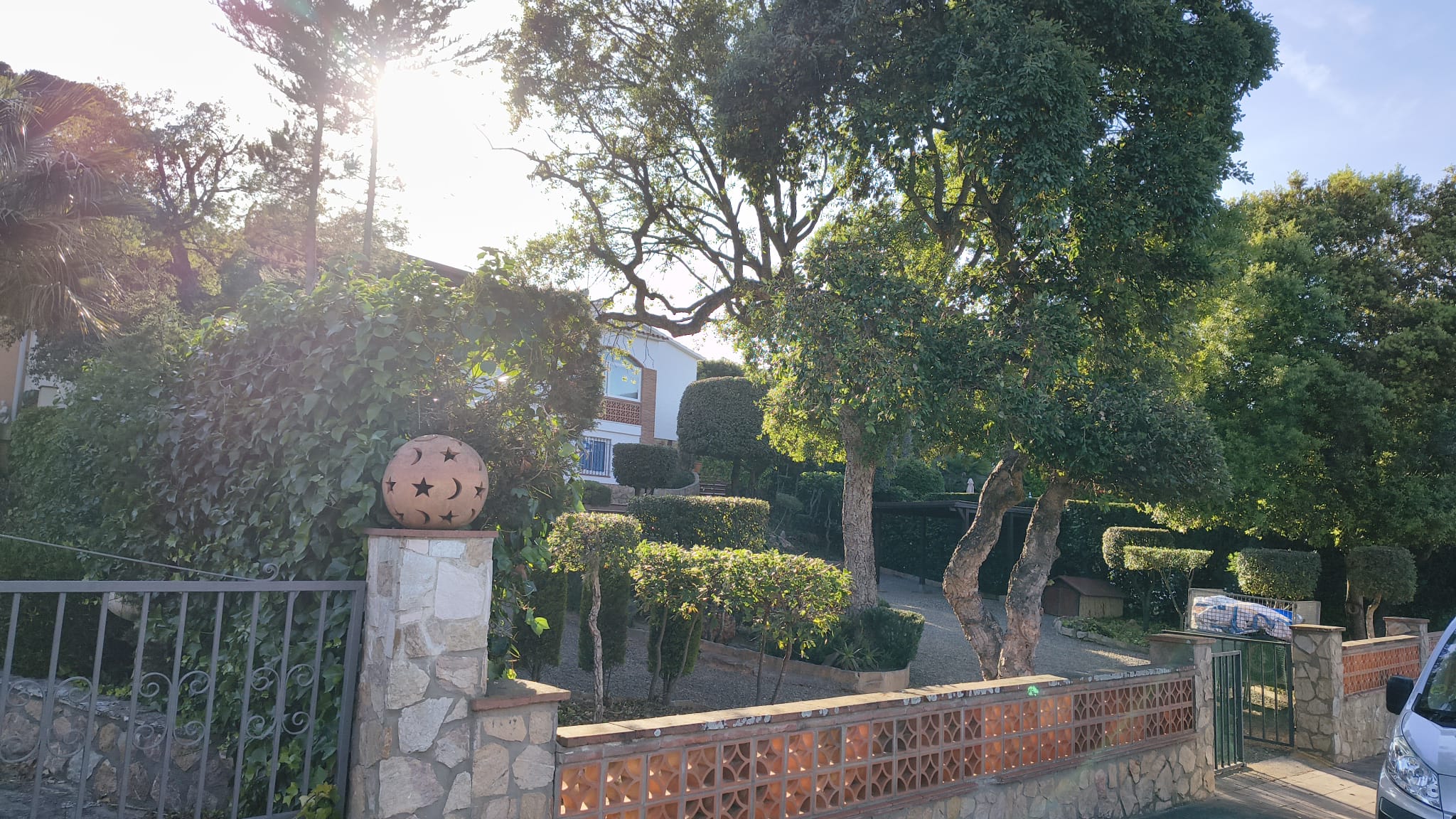 Decoración exterior y plantas